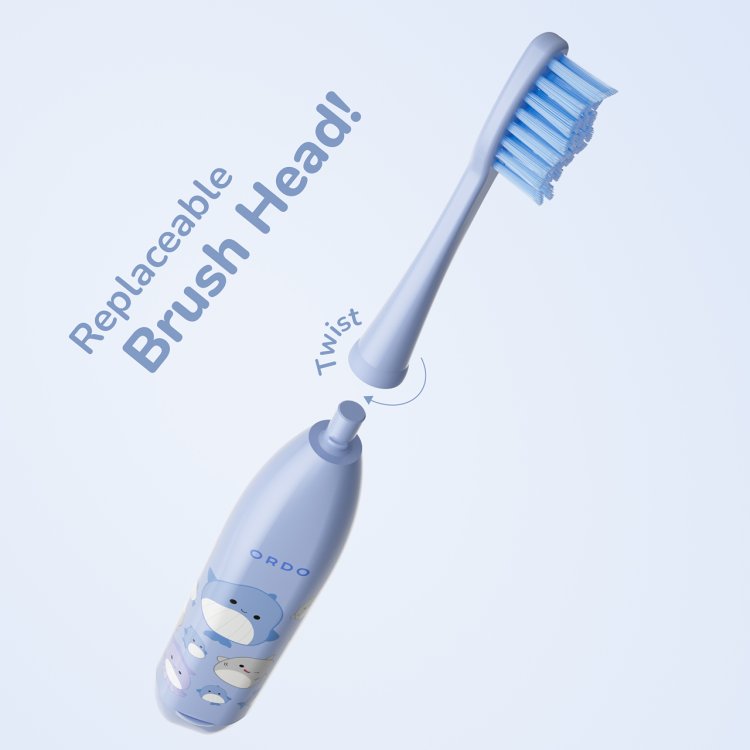 ORDO KIDS BATTERY TOOTHBRUSH SQMW 2 Nak Health and Beauty
