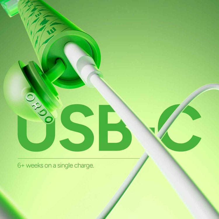 ORDO SONIC EDGE ELECTRIC TOOTHBRUSH WICKED ELPHABA Nak Health and Beauty