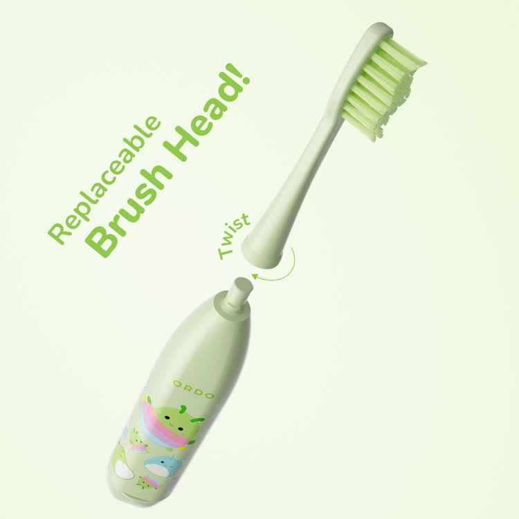 ORDO KIDS BATTERY TOOTHBRUSH SQMW 3 Nak Health and Beauty