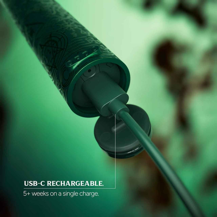 ORDO SONIC LITE ELECTRIC TOOTHBRUSH WICKED ELPHABA Nak Health and Beauty