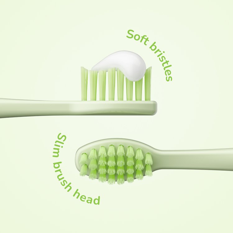 ORDO KIDS BATTERY TOOTHBRUSH SQMW 3 Nak Health and Beauty