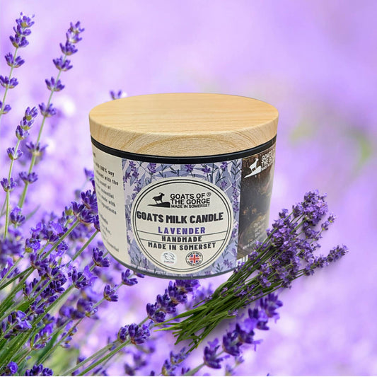 Deluxe Goats Milk Candles By Goats of the Gorge Ltd 275ml Lavender Nak Health and Beauty